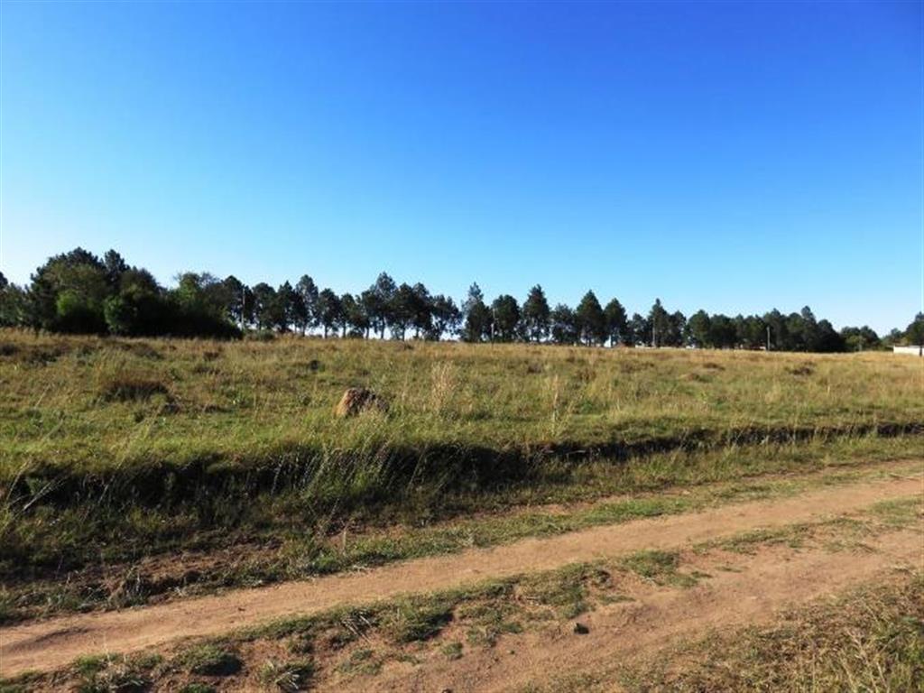 Vacant Land for Sale - Free State